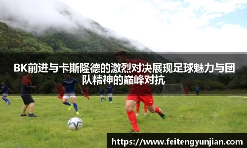 yy体育