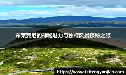 yy易游官网