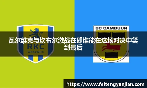 yy体育直播在线观看